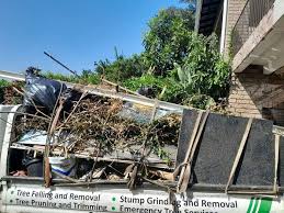 Best Commercial Junk Removal  in Michigan City, IN